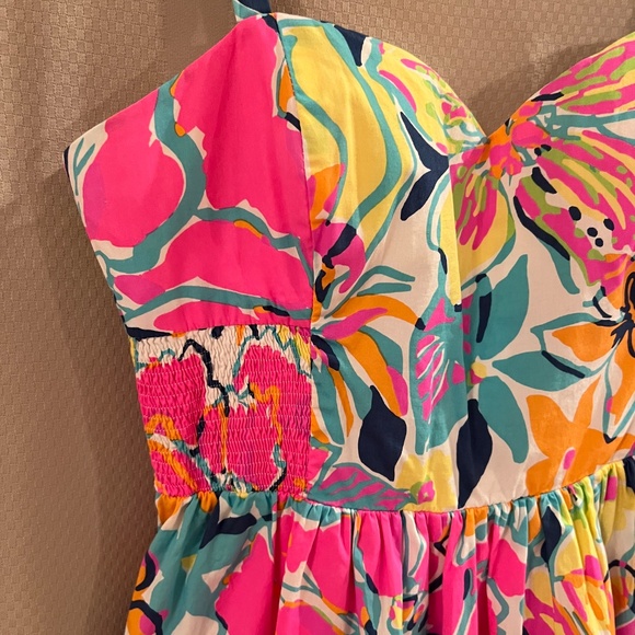 Lilly Pulitzer Christine Besame Mucho Smocked Poplin Fit & Flare Dress Sz10 - Picture 5 of 16